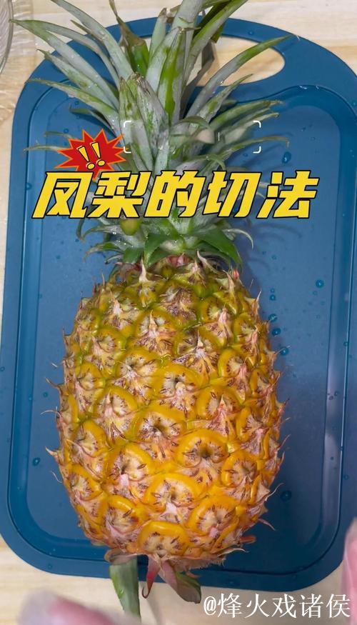 免费下载菠萝视频的方法与技巧